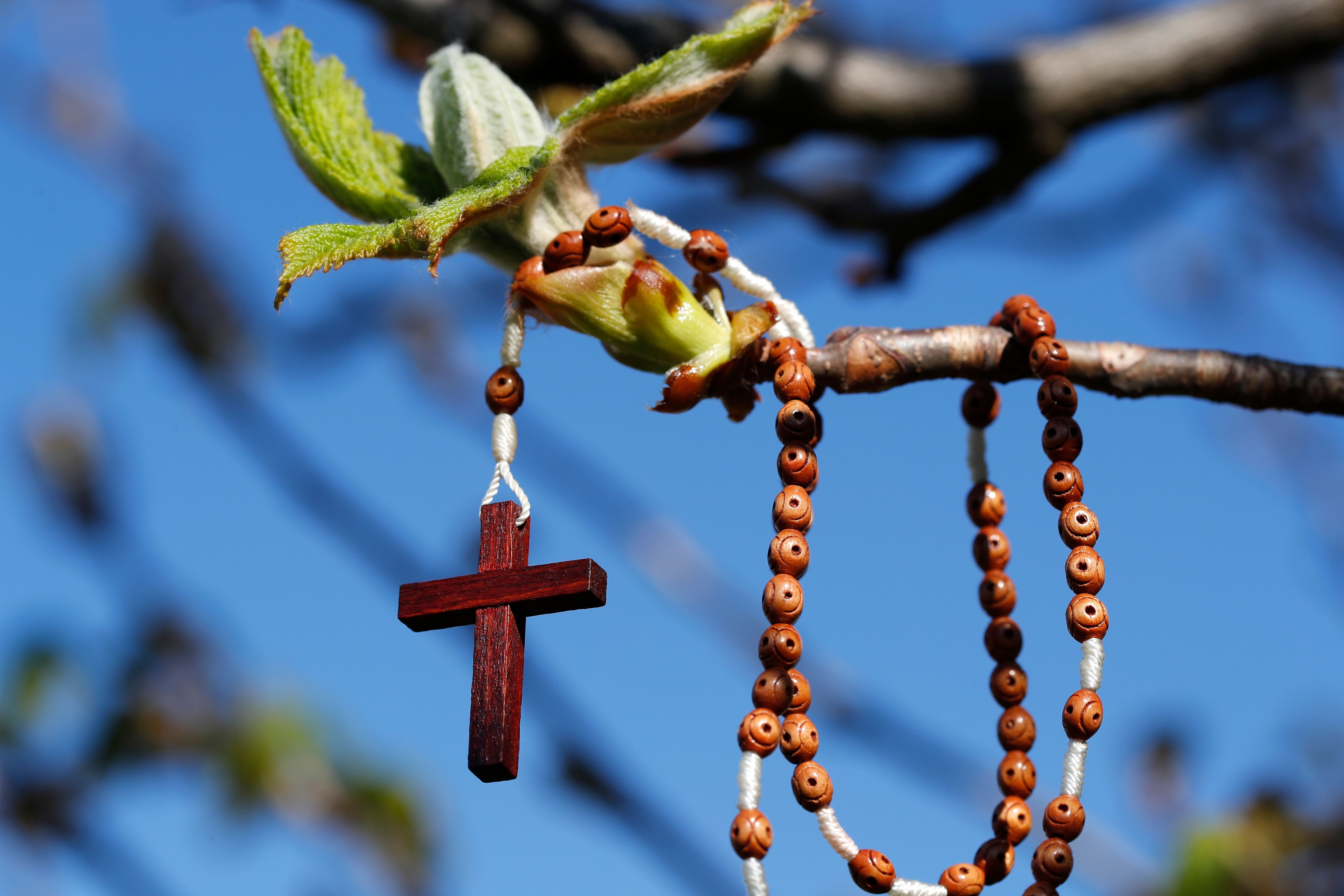 A decade on, Laudato si’ continues to inspire… | Melbourne Catholic